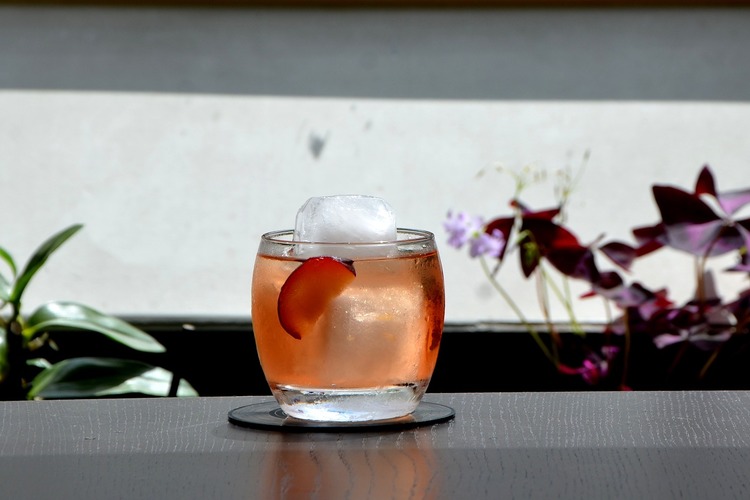 Drinks Recipe - Plum Negroni Cocktail with Campari and Vermouth