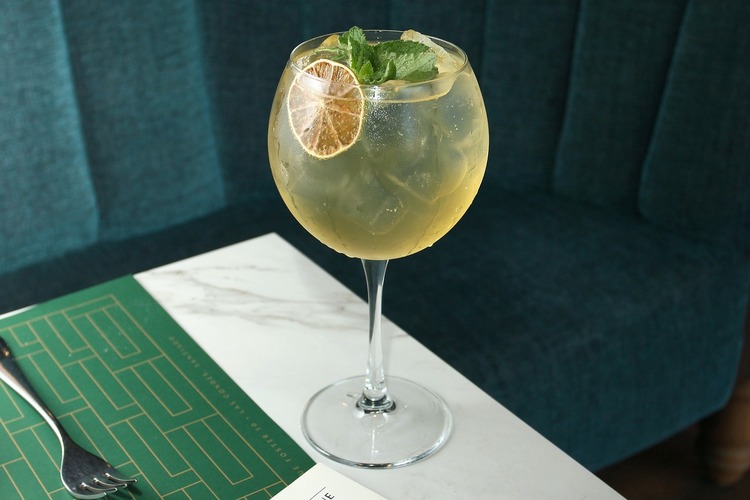 Drinks Recipe - Gin and Tonic Cocktail with Mint