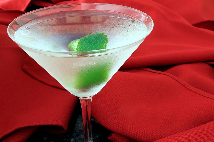 Dry Martini Cocktail - Drinks Recipe